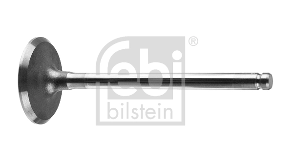 Intake Valve